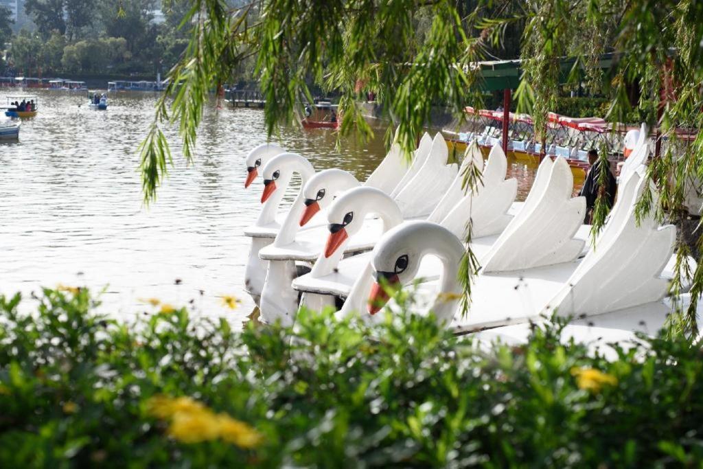The Plaza Lodge Baguio Багио Экстерьер фото