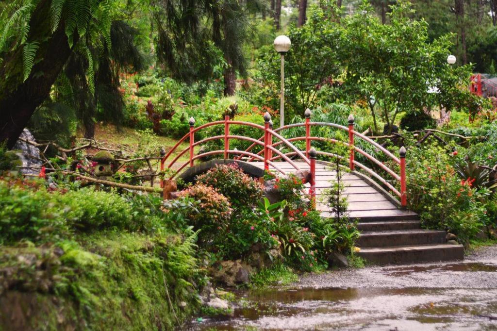 The Plaza Lodge Baguio Багио Экстерьер фото
